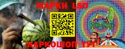 винт Пенза