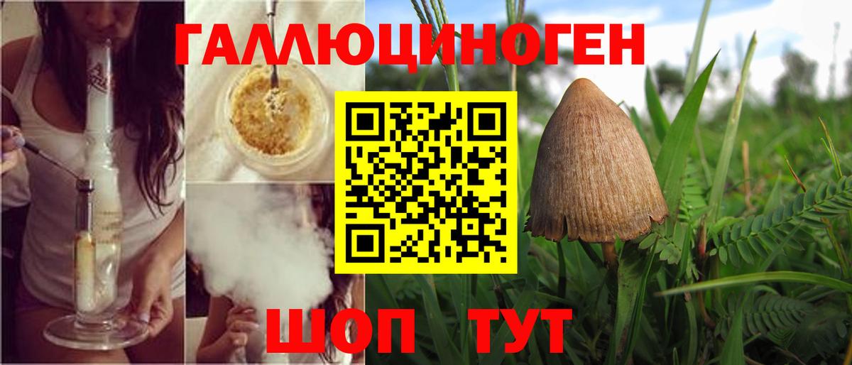 Тамбов  Псилоцибиновые грибы Magic Shrooms  Вход с VPN  Галлюциногенные грибы Cubensis 